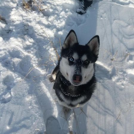 Apartman Nikol Prievidza Luaran gambar